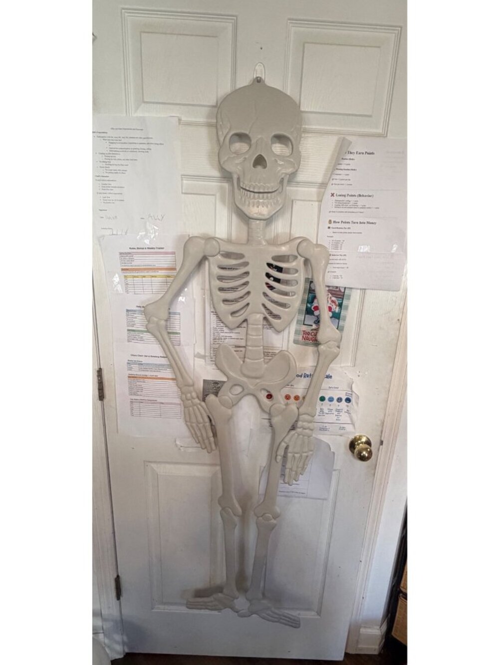 New Hyde & Eek! 59” Life-Size Skeleton Halloween Decoration – Indoor/Outdoor
